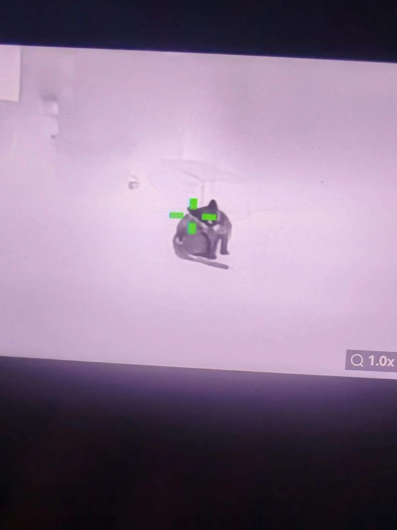 【暗区突围物资透视下载无毒】超模下班都穿什么?早春穿这些外套就对了!